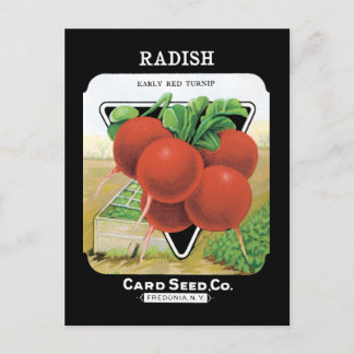 Radish Seed Pack Briefkaart