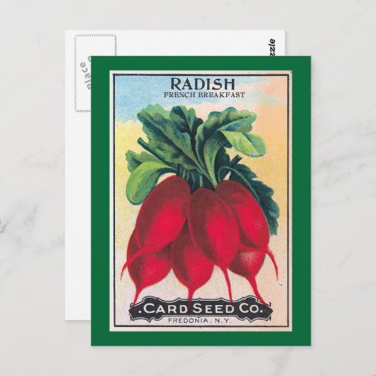 Radish Seed Packet Briefkaart (Voorkant / Achterkant)