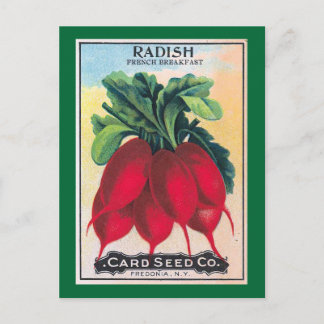 Radish Seed Packet Briefkaart