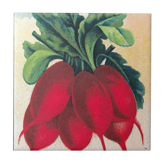 Radish Seed Packet Tegeltje (Voorkant)