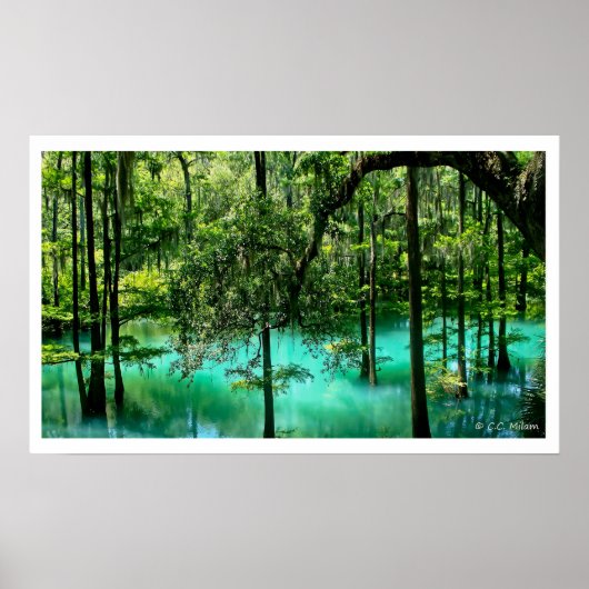 Radium Spring, Albany, Georgia Poster (Voorkant)