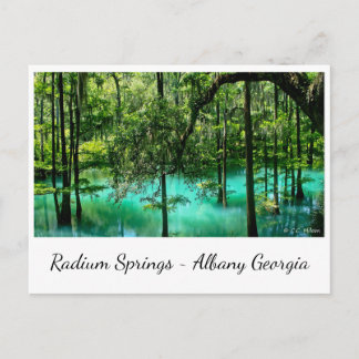Radium Springs ~ Albany Georgia Briefkaart
