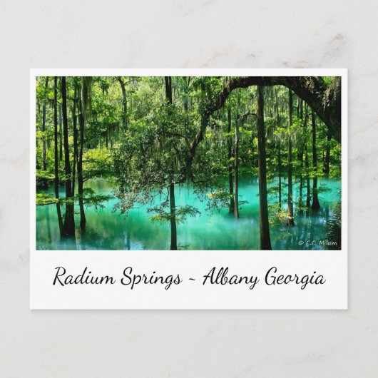 Radium Springs ~ Albany Georgia Briefkaart (Voorkant)