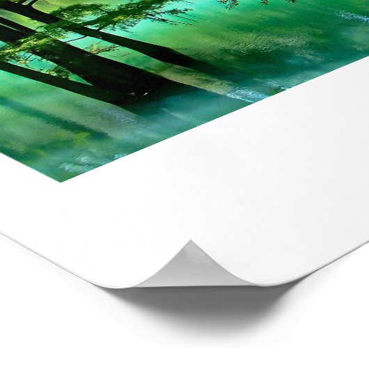 Radium Springs ~ Albany Georgia Poster (Hoek)