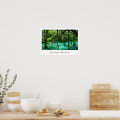 Radium Springs ~ Albany Georgia Poster (Keuken)