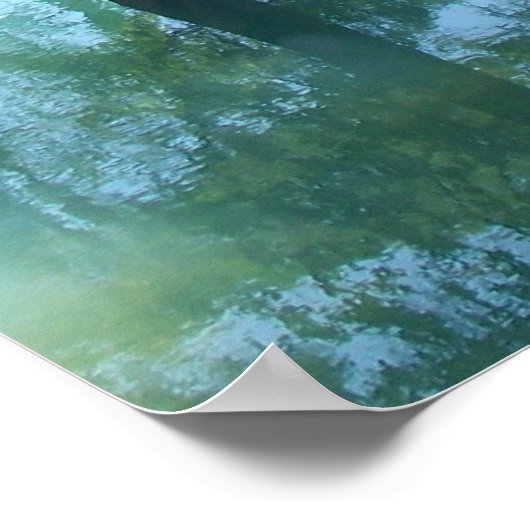 Radium Springs Along Flint Poster (Hoek)