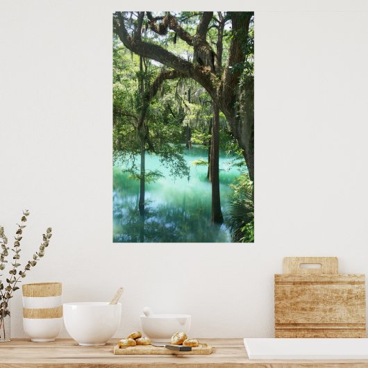 Radium Springs Along Flint Poster (Keuken)