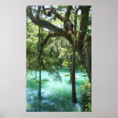 Radium Springs Along Flint Poster (Voorkant)