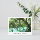 Radium Springs Park, Albany GA Briefkaart (Staand voorkant)