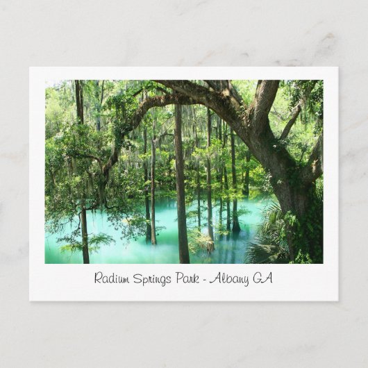 Radium Springs Park, Albany GA Briefkaart (Voorkant)
