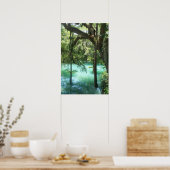 Radium Springs schoonheid Poster (Keuken)