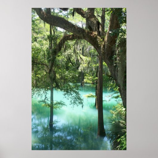 Radium Springs schoonheid Poster (Voorkant)