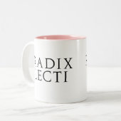 Radix Lecti Tweekleurige Koffiemok (Voorkant links)