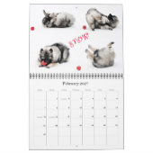 Raevyn Keesagenda 2015 Kalender (Feb 2027)