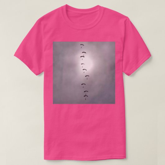 RAF Falcons Parachute Display T-shirt (Design voorkant)