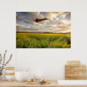 RAF Typhoon Eurofighter jet vliegt over raapzaad Poster (Keuken)