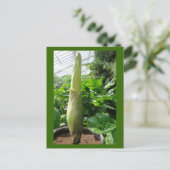 Rafflesia arnoldii briefkaart (Staand voorkant)