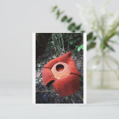 Rafflesia parasitic flower briefkaart (Staand voorkant)