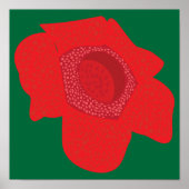 Rafflesia Poster (Voorkant)