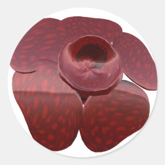 Rafflesie Stickers