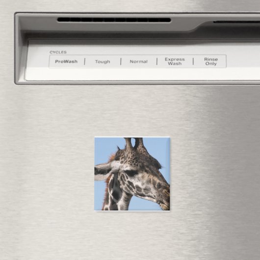 raffmagneet magneet (Insitu (Vaatwasser))