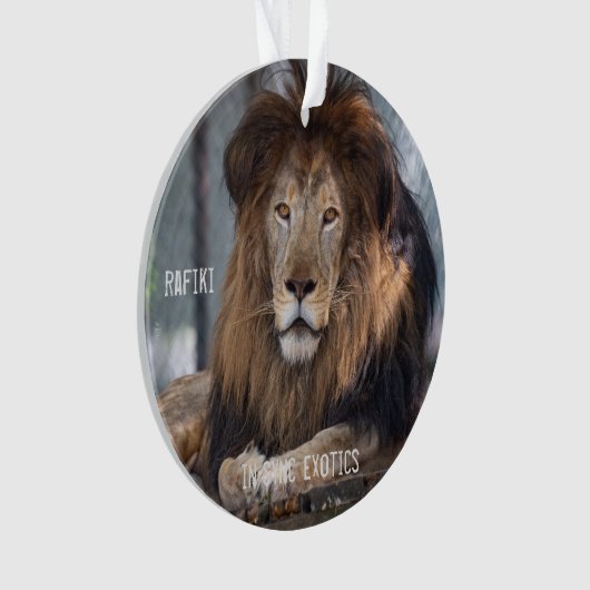 Rafiki - ornament (voorkant)