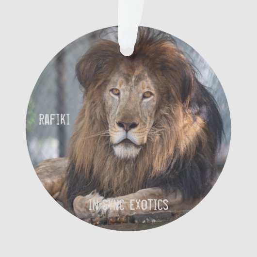 Rafiki - ornament (voorkant)