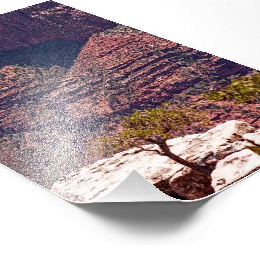 Rafinesque Watches Foto Afdruk (Hoek)