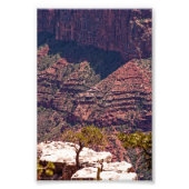 Rafinesque Watches Foto Afdruk (Voorkant)