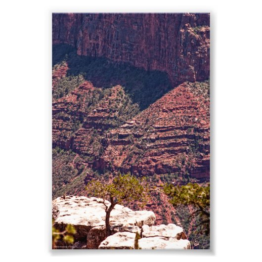 Rafinesque Watches Foto Afdruk (Voorkant)