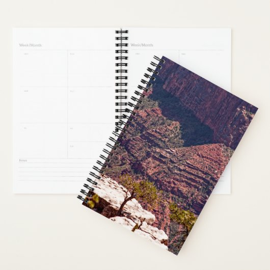 Rafinesque Watches Planner (Display)