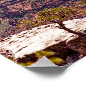 Rafinesque Watches Poster (Hoek)