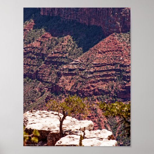 Rafinesque Watches Poster (Voorkant)