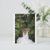 Raften over de waterval van Nieuw-Zeeland Briefkaart (Staand voorkant)