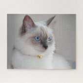 Rag Doll Cat Legpuzzel (Horizontaal)