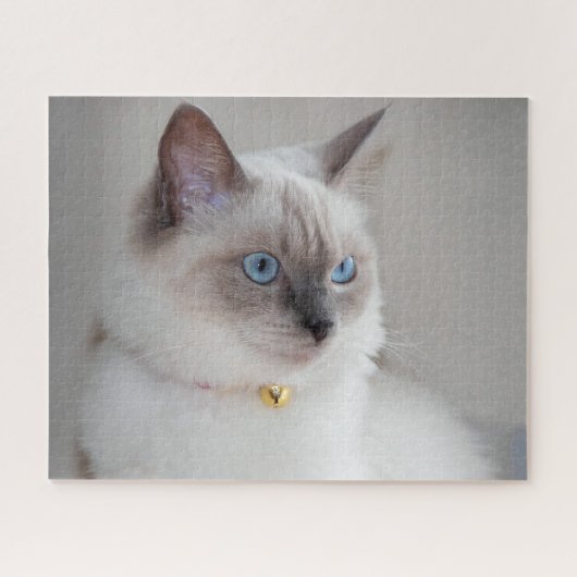 Rag Doll Cat Legpuzzel (Horizontaal)