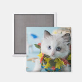 Rag Doll Kitten en Summer Vacation Magneet (Voorkant / Achterkant)