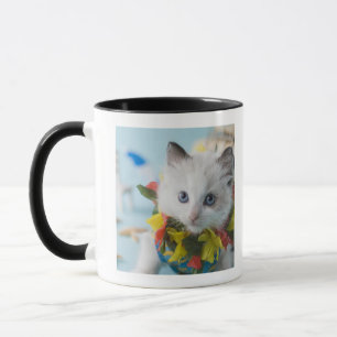 Rag Doll Kitten en Summer Vacation Mok