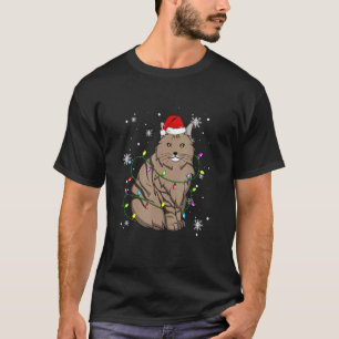 Ragamuffin Kat Kerstlichtjes Kerstkat Sinterklaas T-shirt