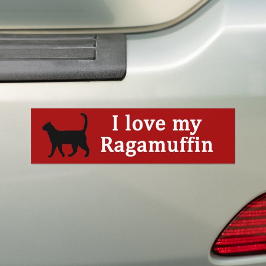 Ragamuffin Liefde Bumpersticker (Op auto)