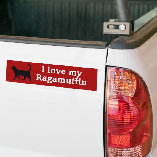 Ragamuffin Liefde Bumpersticker (Op Truck)