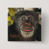 Ragan, sla de Chimps op Vierkante Button 5,1 Cm (Voorkant)