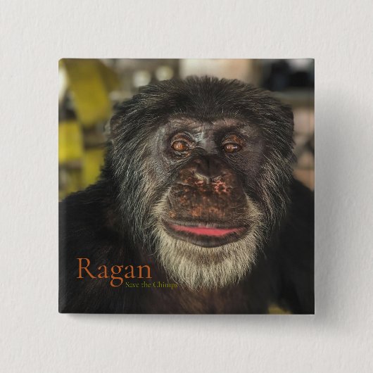 Ragan, sla de Chimps op Vierkante Button 5,1 Cm (Voorkant)
