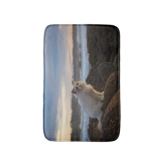 Ragdolkat bij het strand badmat (Voorkant Verticaal)