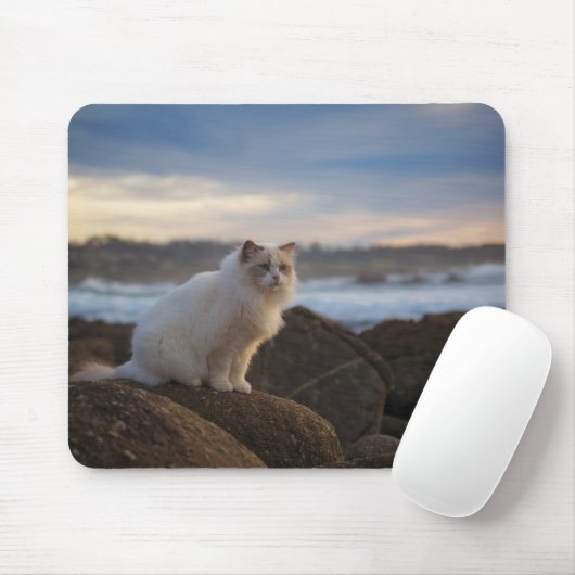 Ragdolkat bij het strand muismat (Met muis)