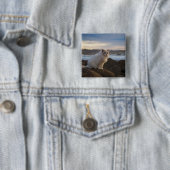 Ragdolkat bij het strand vierkante button 5,1 cm (In situ)