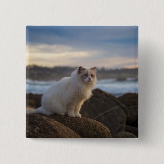 Ragdolkat bij het strand vierkante button 5,1 cm (Voorkant)