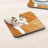 Ragdolkat op de vloer, verhoogd uitzicht bier onderzetter (Linkerzijde)