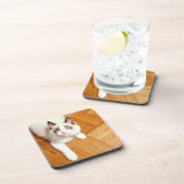 Ragdolkat op de vloer, verhoogd uitzicht bier onderzetter (Rechterzijde)