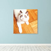 Ragdolkat op de vloer, verhoogd uitzicht canvas afdruk (Insitu (Houten vloer))